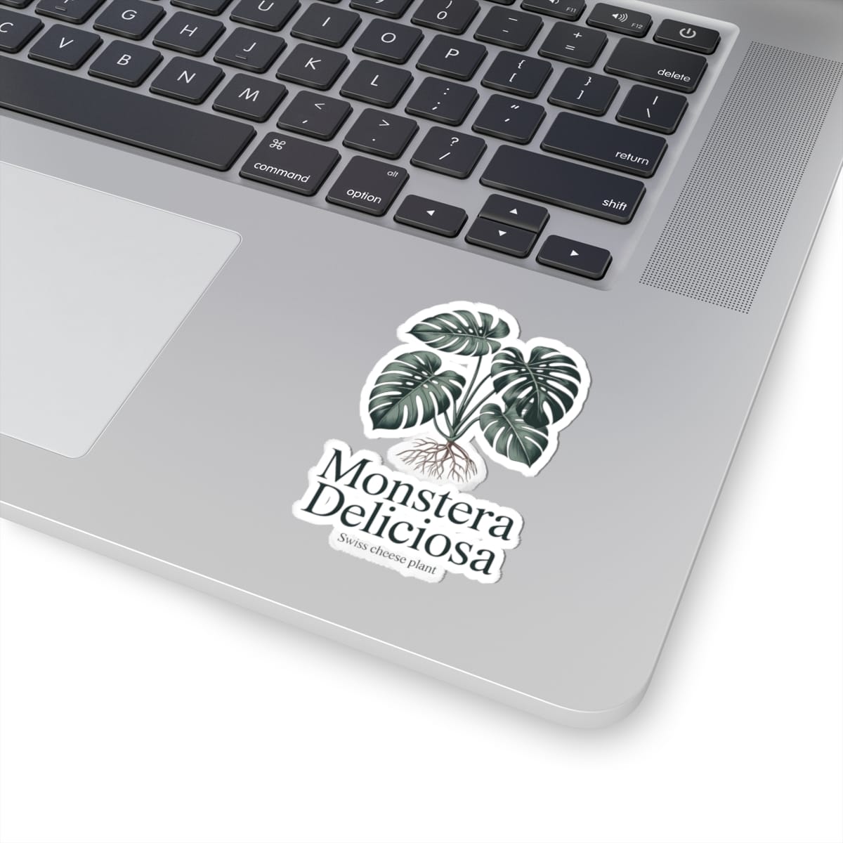 Monstera Deliciosa Sticker - Image 2