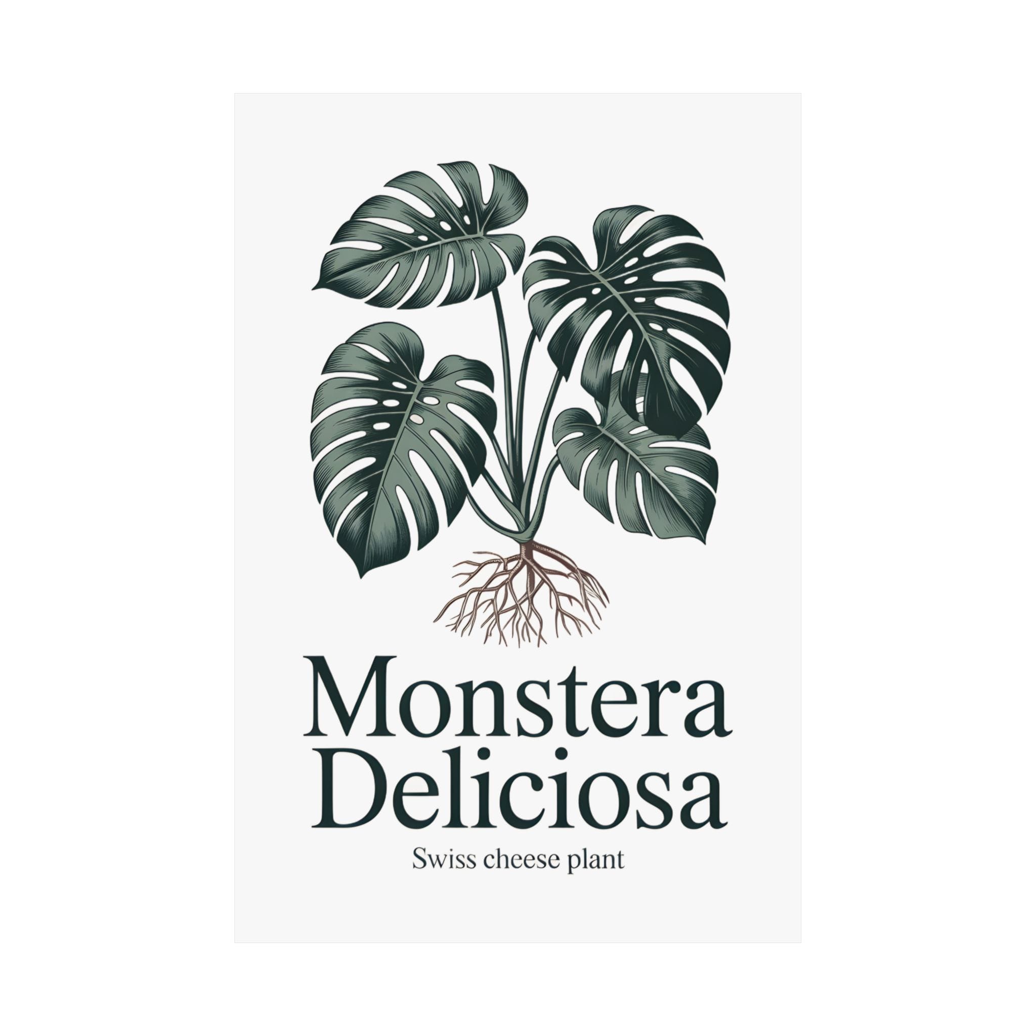 Monstera Deliciosa Poster - Image 10
