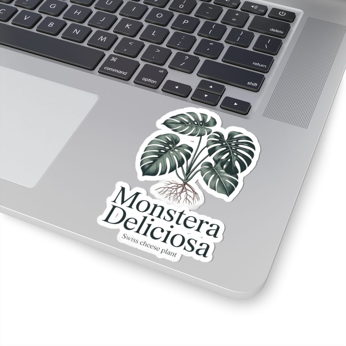 Monstera Deliciosa Sticker - Image 5