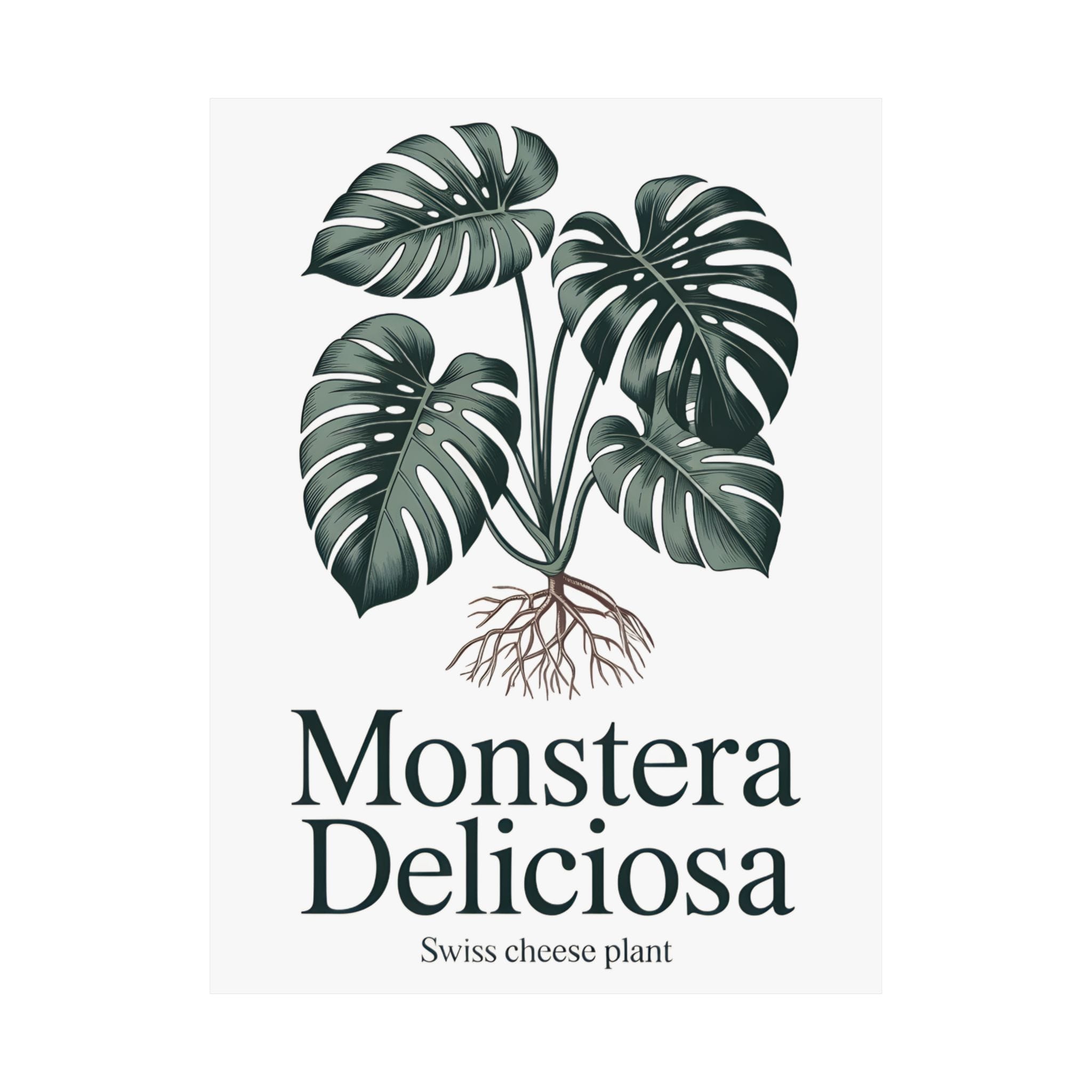 Monstera Deliciosa Poster - Image 6